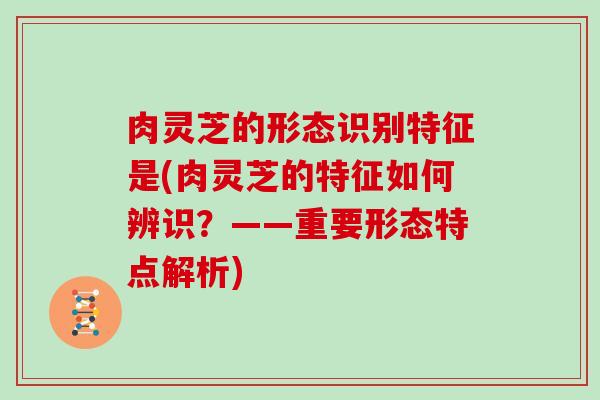 肉灵芝的形态识别特征是(肉灵芝的特征如何辨识？——重要形态特点解析)