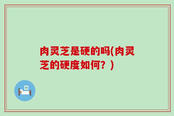 肉灵芝是硬的吗(肉灵芝的硬度如何？)