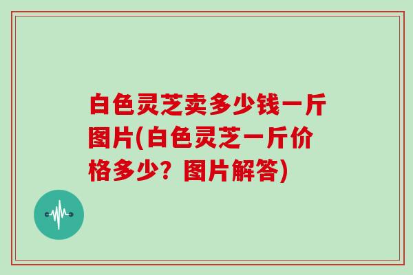 白色灵芝卖多少钱一斤图片(白色灵芝一斤价格多少？图片解答)