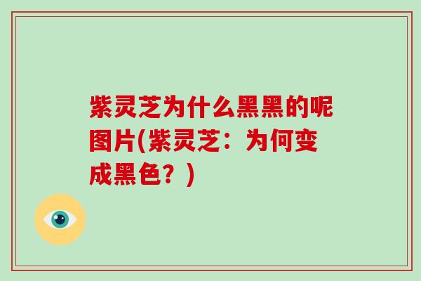 紫灵芝为什么黑黑的呢图片(紫灵芝：为何变成黑色？)