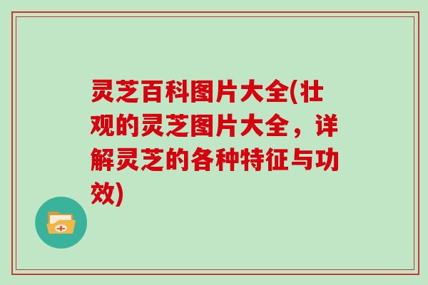 灵芝百科图片大全(壮观的灵芝图片大全，详解灵芝的各种特征与功效)