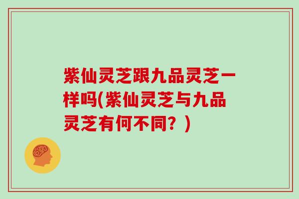 紫仙灵芝跟九品灵芝一样吗(紫仙灵芝与九品灵芝有何不同？)