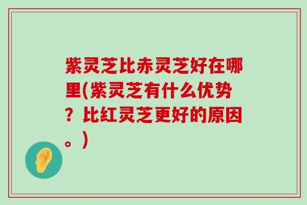 紫灵芝比赤灵芝好在哪里(紫灵芝有什么优势？比红灵芝更好的原因。)