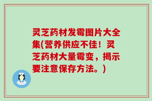 灵芝药材发霉图片大全集(营养供应不佳！灵芝药材大量霉变，揭示要注意保存方法。)