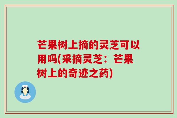 芒果树上摘的灵芝可以用吗(采摘灵芝：芒果树上的奇迹之药)