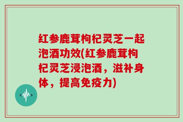 红参鹿茸枸杞灵芝一起泡酒功效(红参鹿茸枸杞灵芝浸泡酒，滋补身体，提高免疫力)