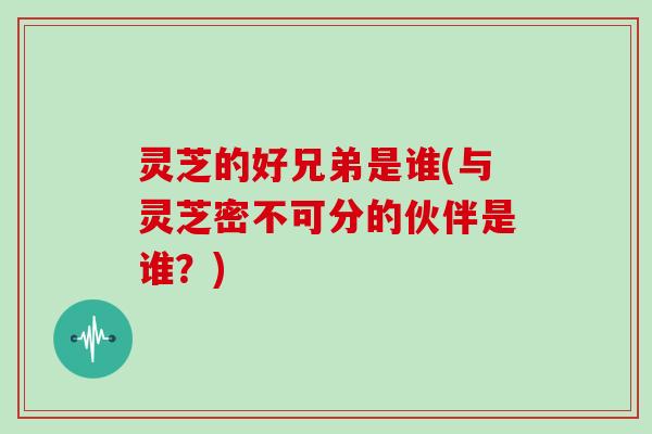 灵芝的好兄弟是谁(与灵芝密不可分的伙伴是谁？)