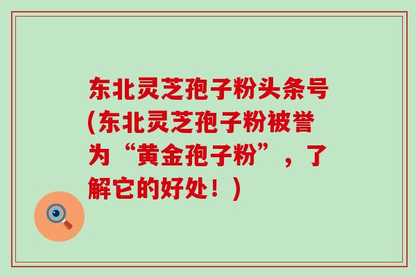 东北灵芝孢子粉头条号(东北灵芝孢子粉被誉为“黄金孢子粉”，了解它的好处！)