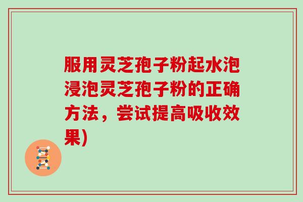 服用灵芝孢子粉起水泡浸泡灵芝孢子粉的正确方法，尝试提高吸收效果)