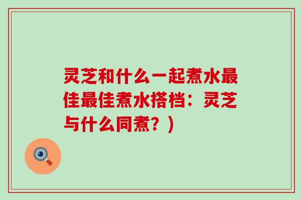 灵芝和什么一起煮水佳佳煮水搭档：灵芝与什么同煮？)