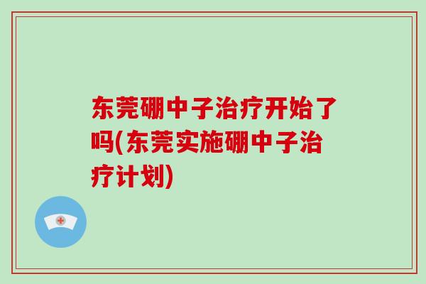 东莞硼中子开始了吗(东莞实施硼中子计划)