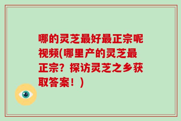 哪的灵芝好正宗呢视频(哪里产的灵芝正宗？探访灵芝之乡获取答案！)