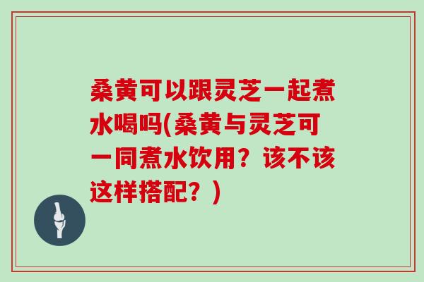 桑黄可以跟灵芝一起煮水喝吗(桑黄与灵芝可一同煮水饮用？该不该这样搭配？)