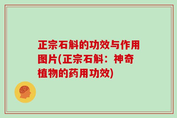 正宗石斛的功效与作用图片(正宗石斛：神奇植物的药用功效)