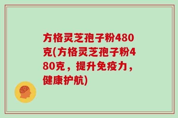 方格灵芝孢子粉480克(方格灵芝孢子粉480克，提升免疫力，健康护航)