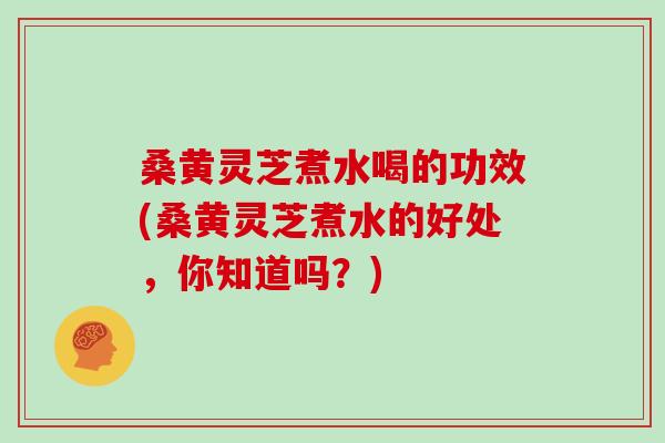 桑黄灵芝煮水喝的功效(桑黄灵芝煮水的好处，你知道吗？)