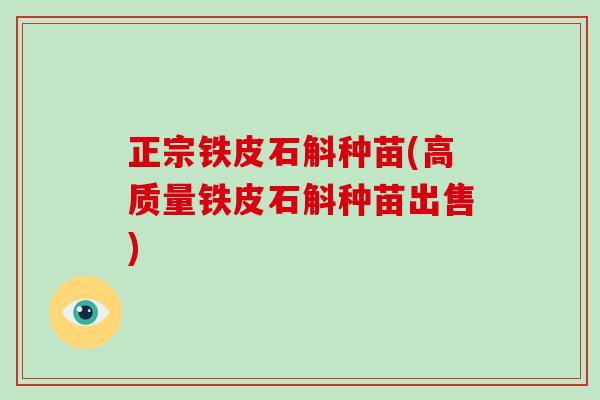 正宗铁皮石斛种苗(高质量铁皮石斛种苗出售)