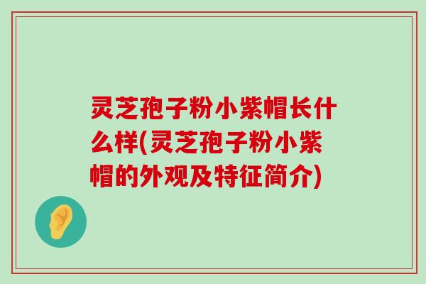 灵芝孢子粉小紫帽长什么样(灵芝孢子粉小紫帽的外观及特征简介)