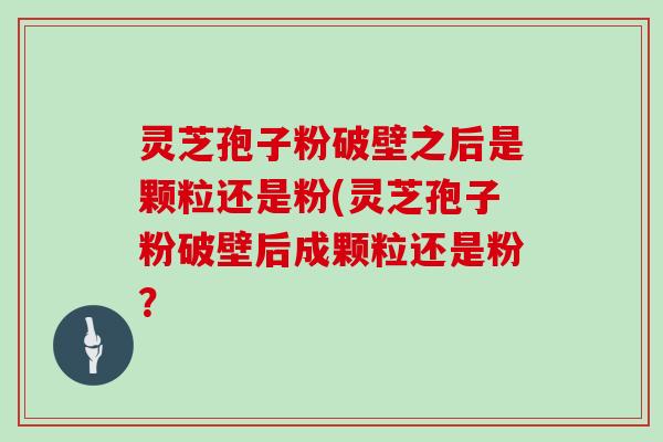 灵芝孢子粉破壁之后是颗粒还是粉(灵芝孢子粉破壁后成颗粒还是粉？