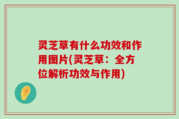 灵芝草有什么功效和作用图片(灵芝草：全方位解析功效与作用)