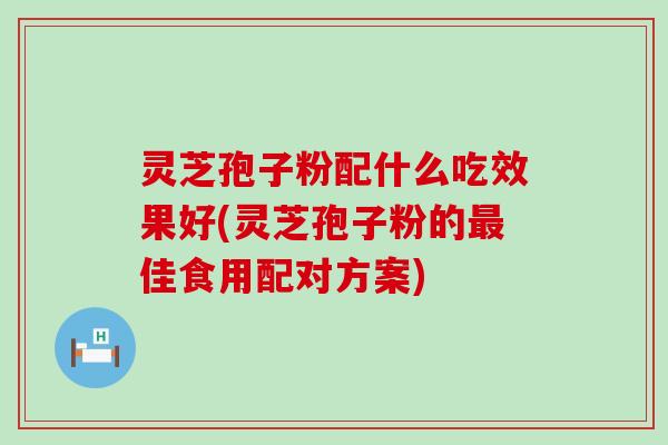 灵芝孢子粉配什么吃效果好(灵芝孢子粉的佳食用配对方案)