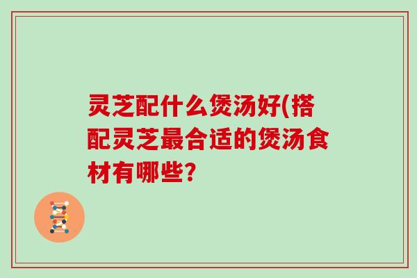 灵芝配什么煲汤好(搭配灵芝合适的煲汤食材有哪些？