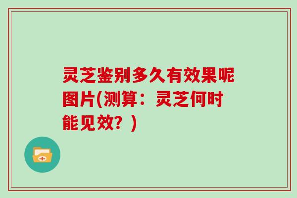 灵芝鉴别多久有效果呢图片(测算：灵芝何时能见效？)