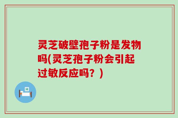 灵芝破壁孢子粉是发物吗(灵芝孢子粉会引起反应吗？)