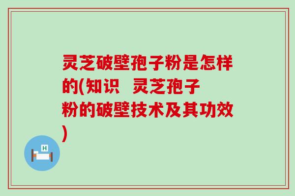 灵芝破壁孢子粉是怎样的(知识  灵芝孢子粉的破壁技术及其功效)