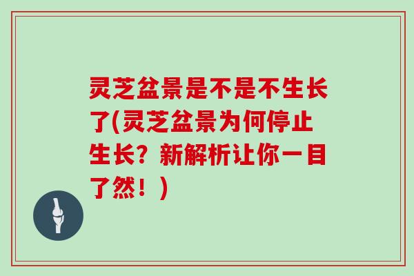 灵芝盆景是不是不生长了(灵芝盆景为何停止生长？新解析让你一目了然！)