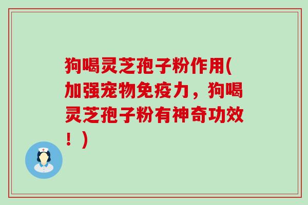 狗喝灵芝孢子粉作用(加强宠物免疫力，狗喝灵芝孢子粉有神奇功效！)