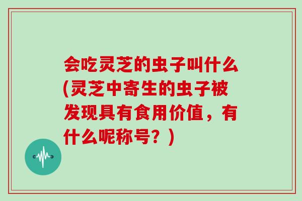 会吃灵芝的虫子叫什么(灵芝中寄生的虫子被发现具有食用价值，有什么呢称号？)