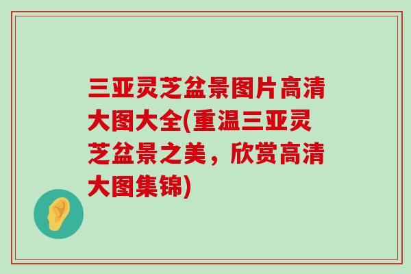 三亚灵芝盆景图片高清大图大全(重温三亚灵芝盆景之美，欣赏高清大图集锦)