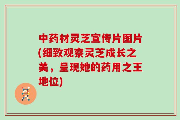 材灵芝宣传片图片(细致观察灵芝成长之美，呈现她的药用之王地位)