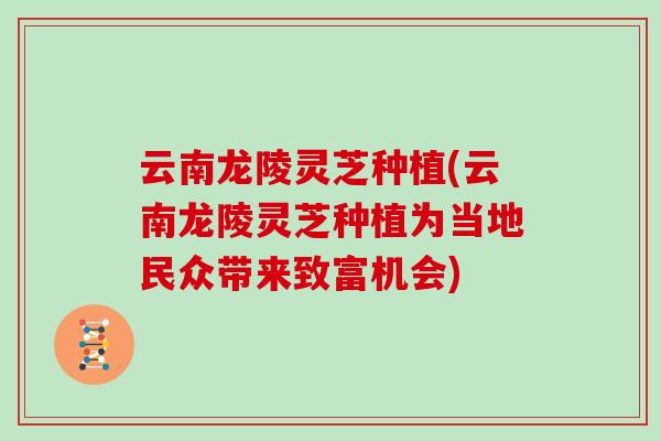 云南龙陵灵芝种植(云南龙陵灵芝种植为当地民众带来致富机会)