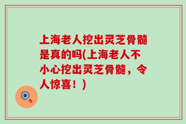 上海老人挖出灵芝骨髓是真的吗(上海老人不小心挖出灵芝骨髓，令人惊喜！)