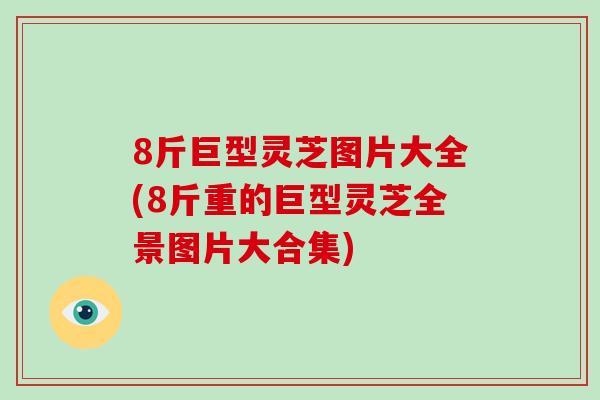 8斤巨型灵芝图片大全(8斤重的巨型灵芝全景图片大合集)