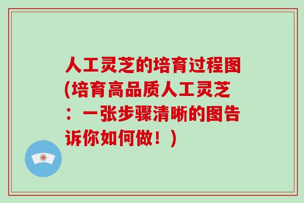 人工灵芝的培育过程图(培育高品质人工灵芝：一张步骤清晰的图告诉你如何做！)