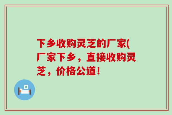 下乡收购灵芝的厂家(厂家下乡，直接收购灵芝，价格公道！