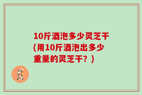 10斤酒泡多少灵芝干(用10斤酒泡出多少重量的灵芝干？)