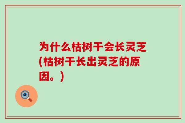 为什么枯树干会长灵芝(枯树干长出灵芝的原因。)