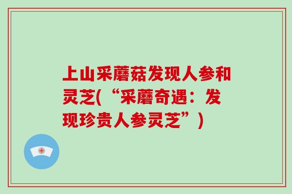 上山采蘑菇发现人参和灵芝(“采蘑奇遇：发现珍贵人参灵芝”)