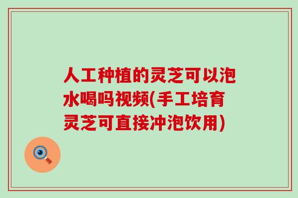 人工种植的灵芝可以泡水喝吗视频(手工培育灵芝可直接冲泡饮用)