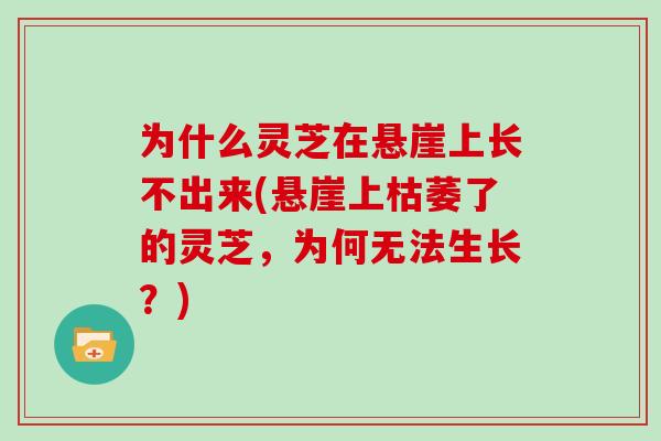 为什么灵芝在悬崖上长不出来(悬崖上枯萎了的灵芝，为何无法生长？)