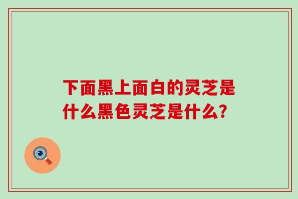 下面黑上面白的灵芝是什么黑色灵芝是什么？