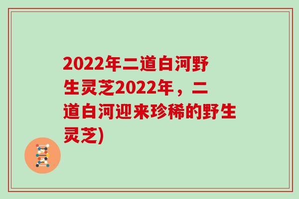 2022年二道白河野生灵芝2022年，二道白河迎来珍稀的野生灵芝)