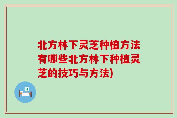 北方林下灵芝种植方法有哪些北方林下种植灵芝的技巧与方法)