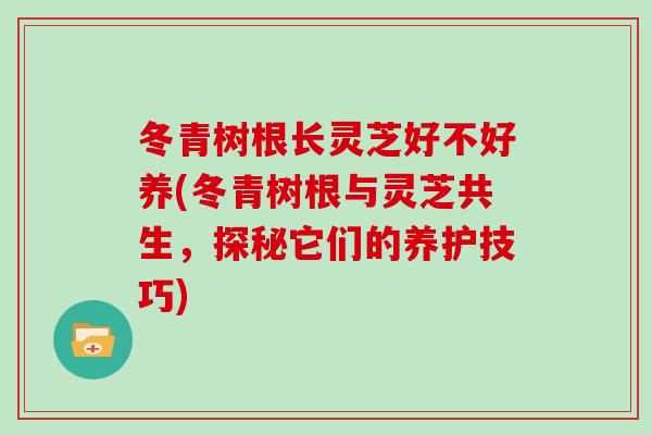 冬青树根长灵芝好不好养(冬青树根与灵芝共生，探秘它们的养护技巧)