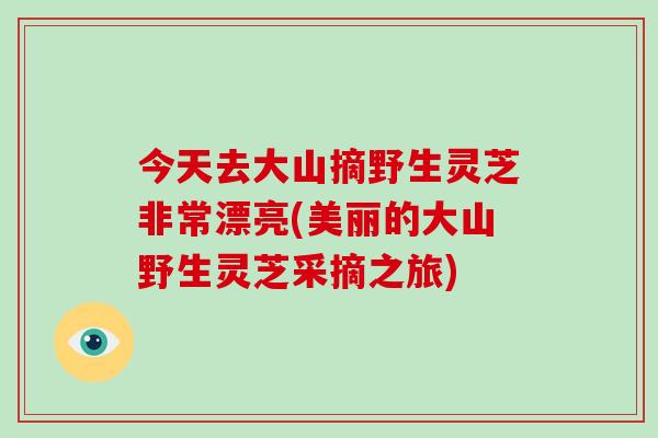 今天去大山摘野生灵芝非常漂亮(美丽的大山野生灵芝采摘之旅)