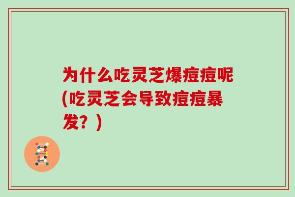 为什么吃灵芝爆痘痘呢(吃灵芝会导致痘痘暴发？)